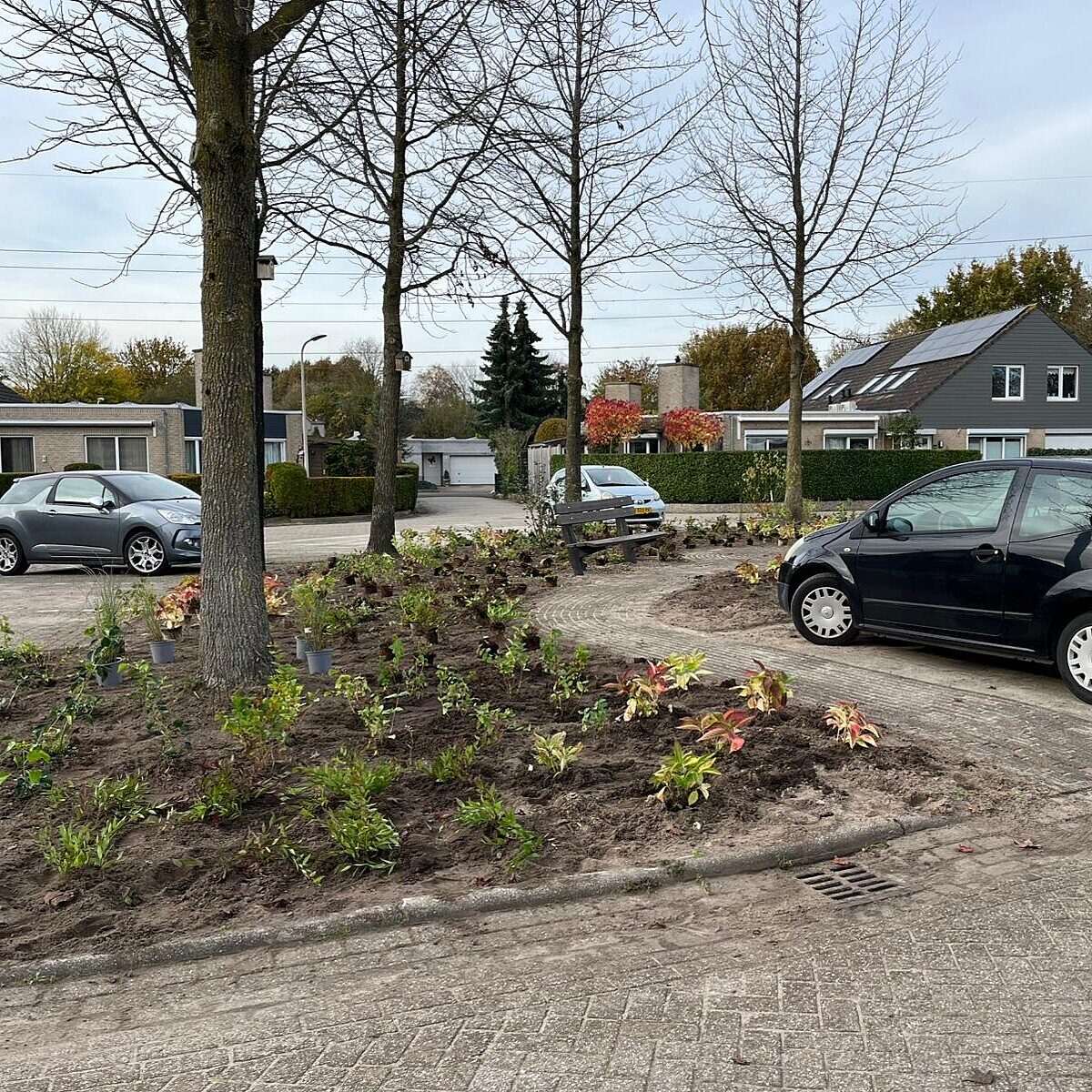 Bloemen aangeplant naast een parkeerplek met auto erop