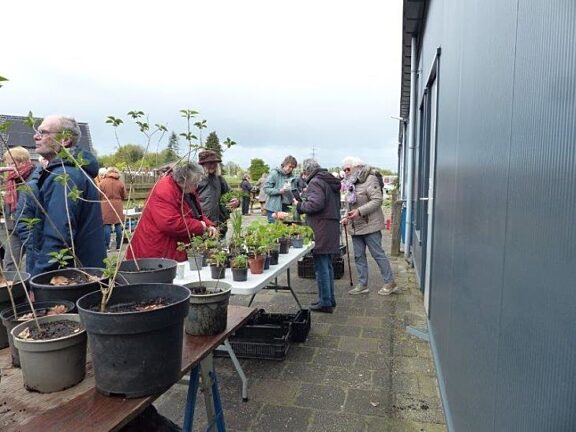 Mensen staan buiten om planten te ruilen met elkaar