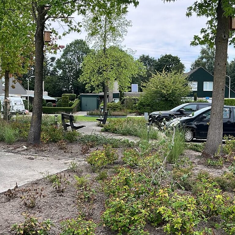 Groen hofje met op de achtergrond autos