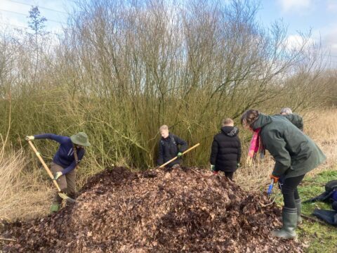 Broeihopen omzetten ivn hoogeveen