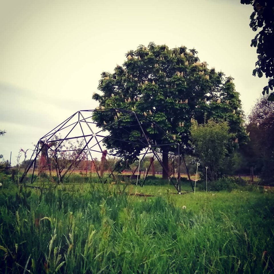 Carpe Vitam Elim workshop stekken