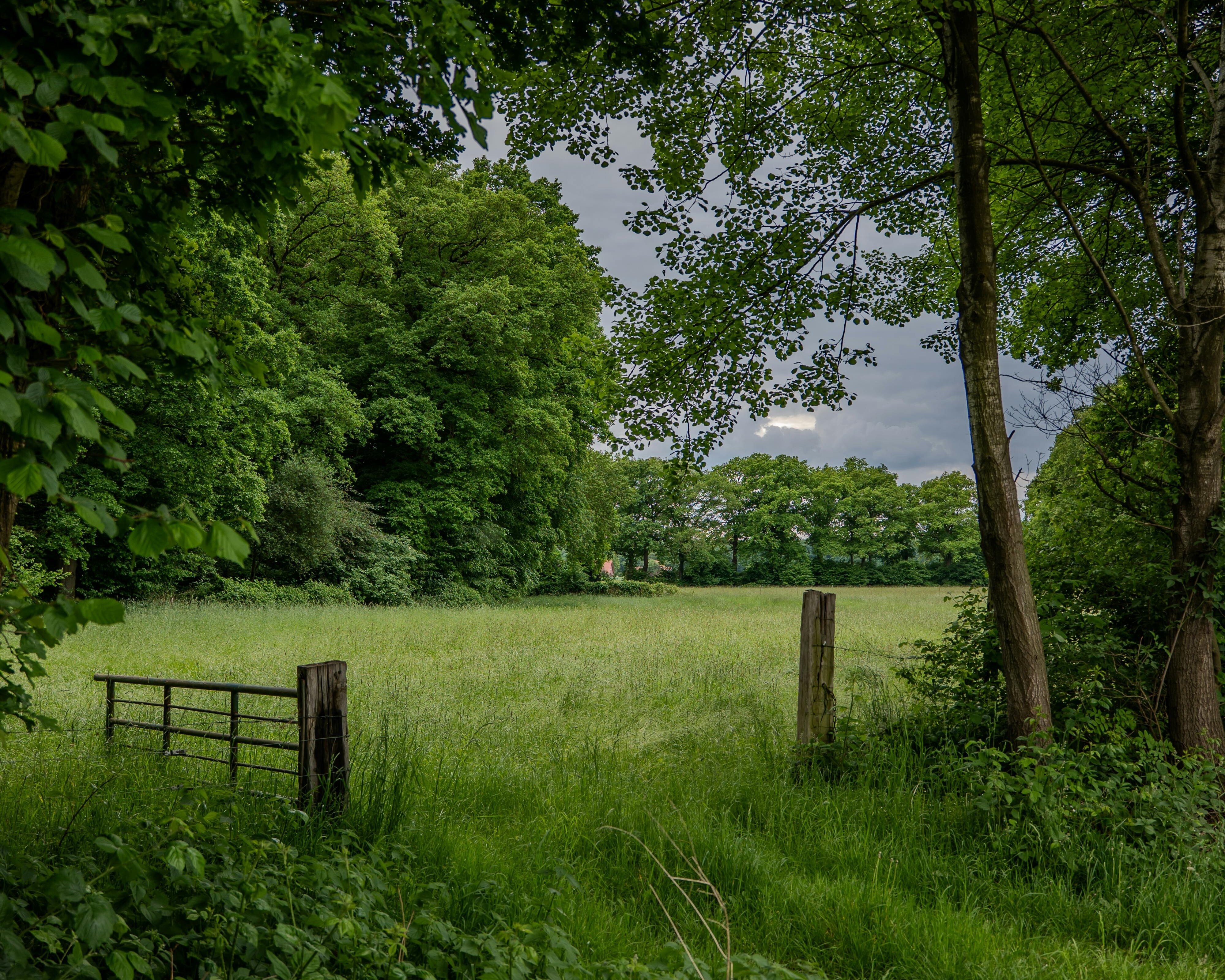 Natuurlandschap van Drenthe