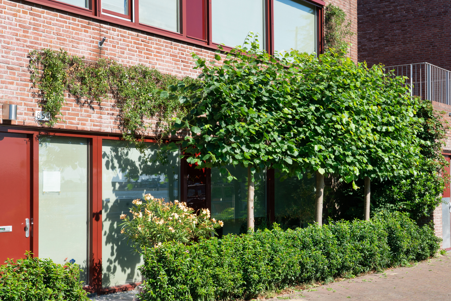 Bomen zorgen voor schaduw voor huis