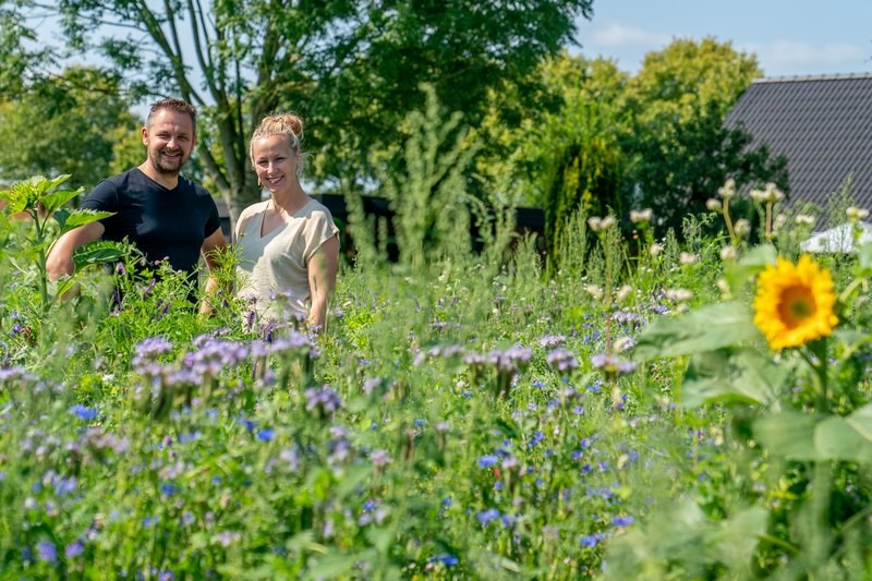 Familie Guichelaar Bloemrijke Akkers - Foto: Kim Stellingwerf